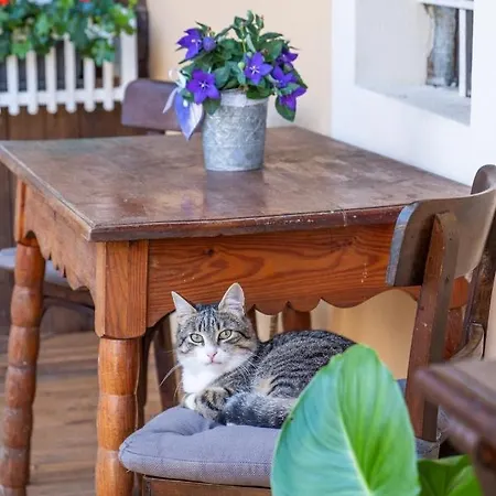 Bed & Breakfast Theresienhof