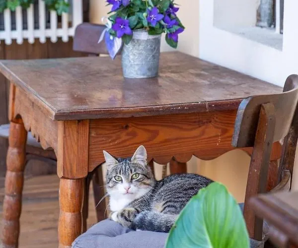 Nocleg ze śniadaniem Theresienhof